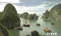 Workshop on promoting Ha Long Bay's values held